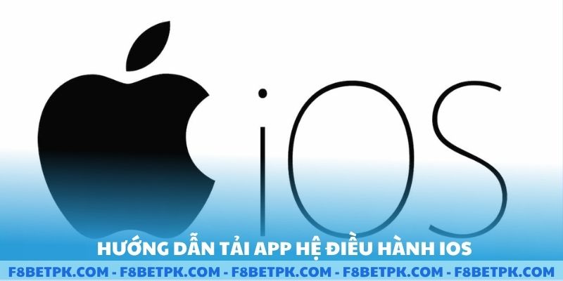 Hướng dẫn chi tiết quy trình tải app