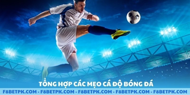 Tổng hợp các mẹo cá độ bóng đá cho cược thủ