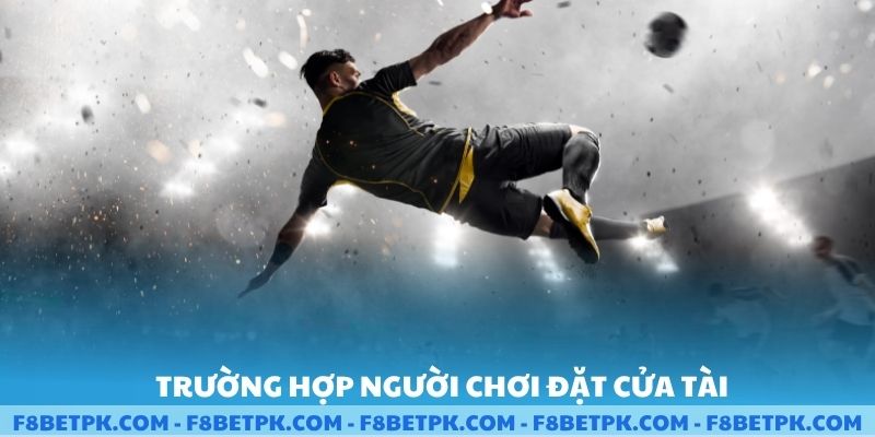 Trường hợp người chơi đặt cửa tài
