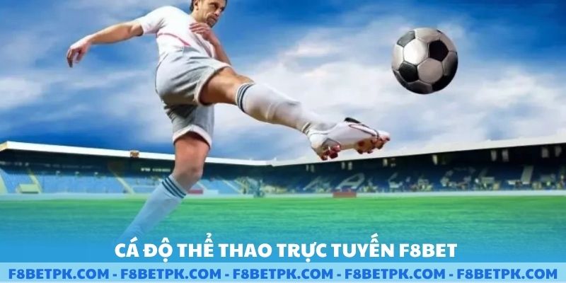 Cá độ thể thao trực tuyến F8BET